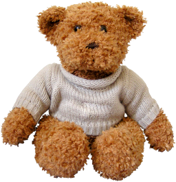 [stock photo of a Teddy bear]